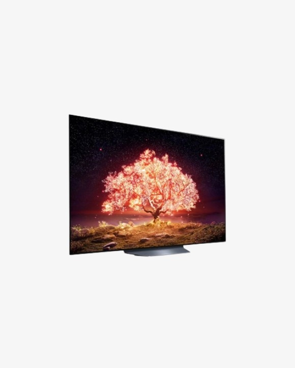 TV LG 65OLED65B1PVA