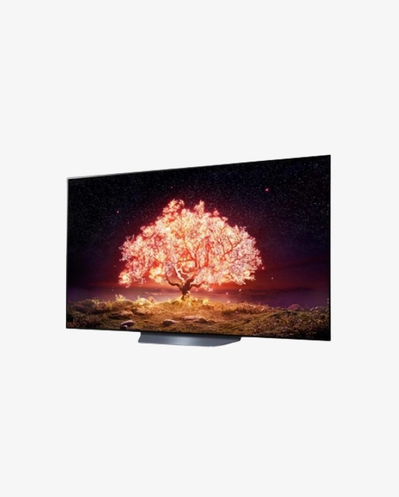 TV LG 65OLED65B1PVA