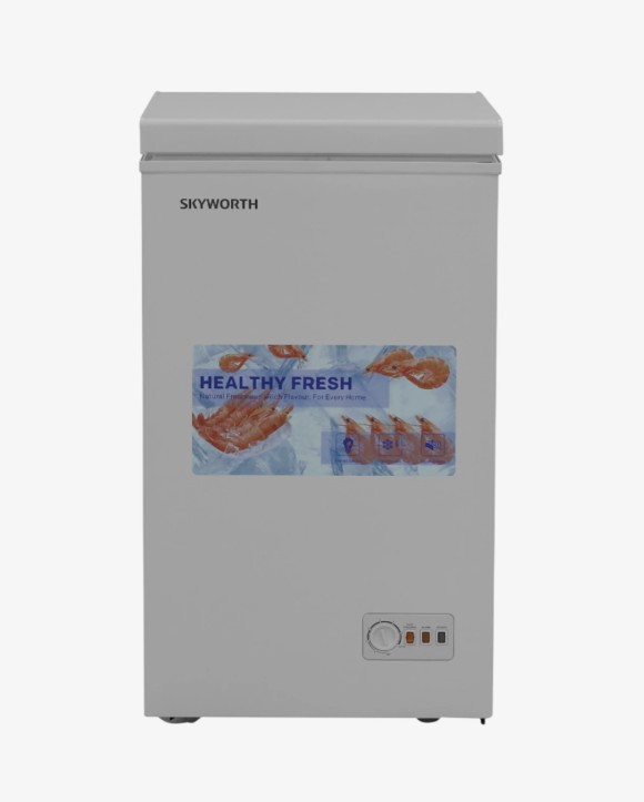 Սառցարան SKYWORTH BD-110B