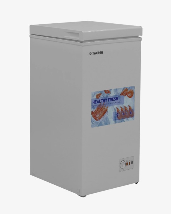 Սառցարան SKYWORTH BD-110B